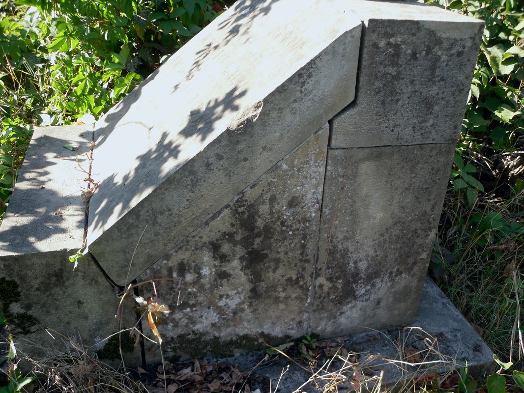 Fragment nagrobka Adama Grypy i rodziny Puzaków, cmentarz w Tarnopolu, stan z 2016 r.