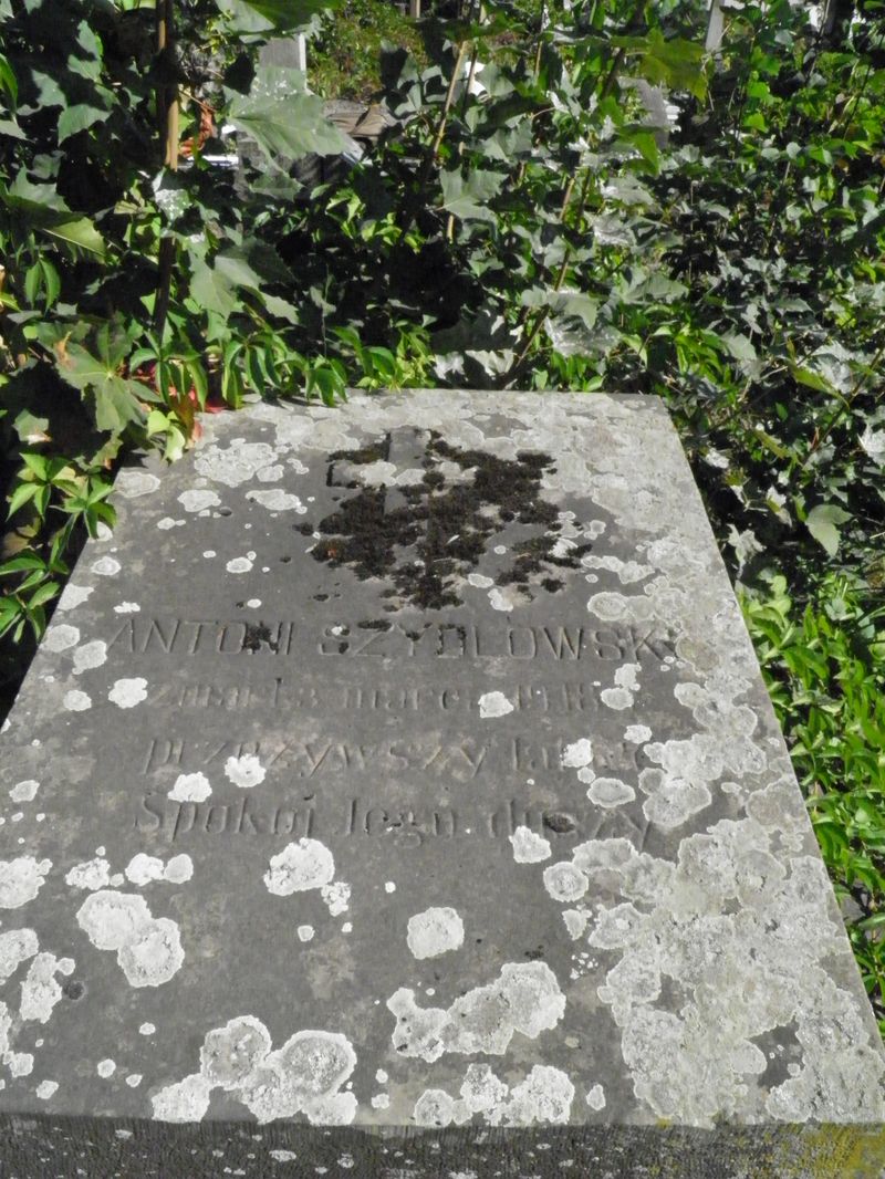 Grobowiec Antoniego Szydłowskiego, cmentarz w Tarnopolu, stan z 2016 r.
