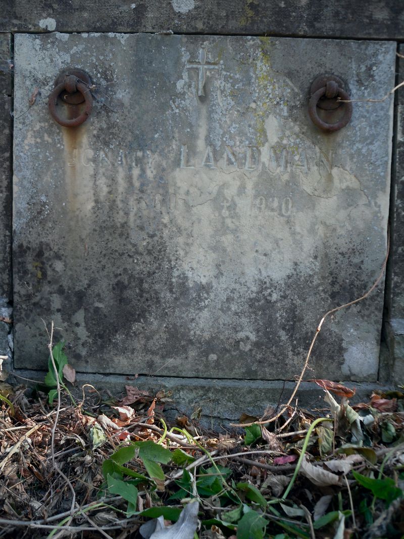 Fragment grobowca Ignacego Landmana, cmentarz w Tarnopolu, stan z 2016 r.