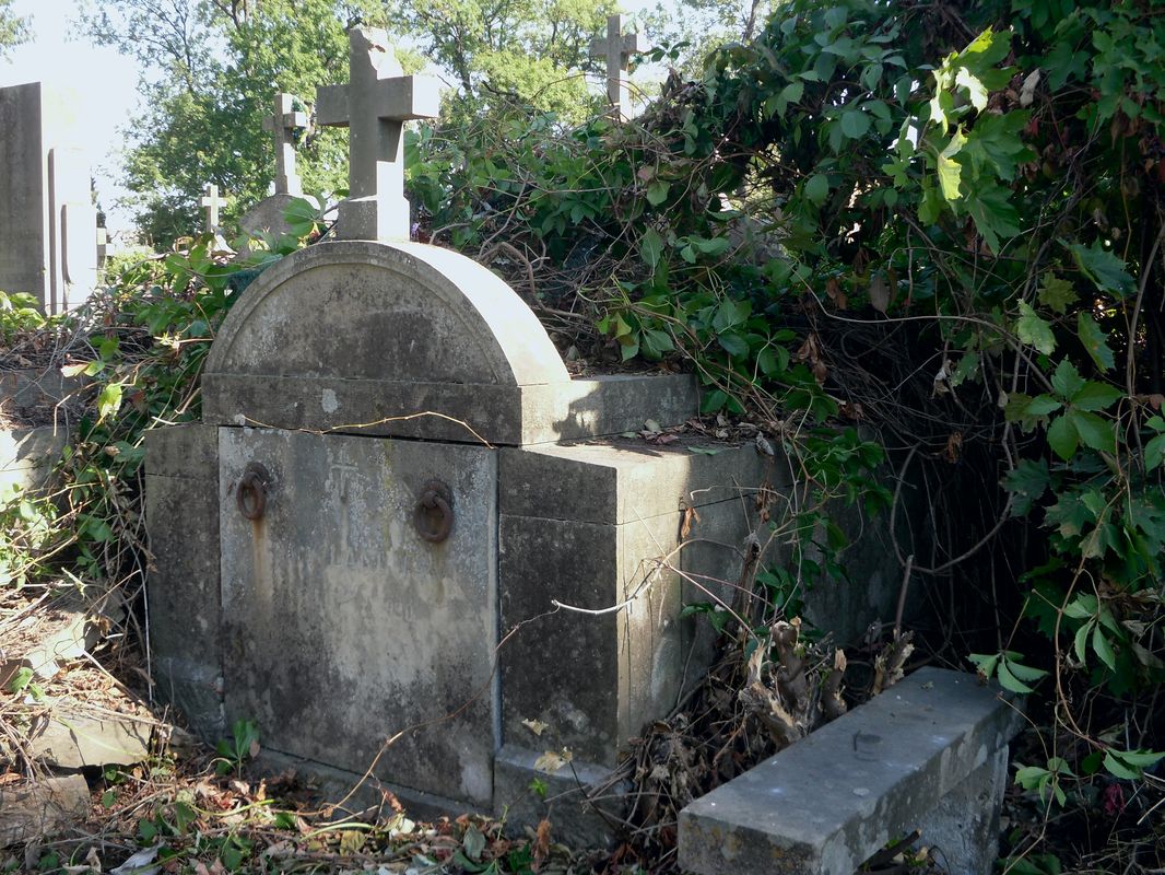 Tomb of Ignacy Landman, Ternopil cemetery, as of 2016.