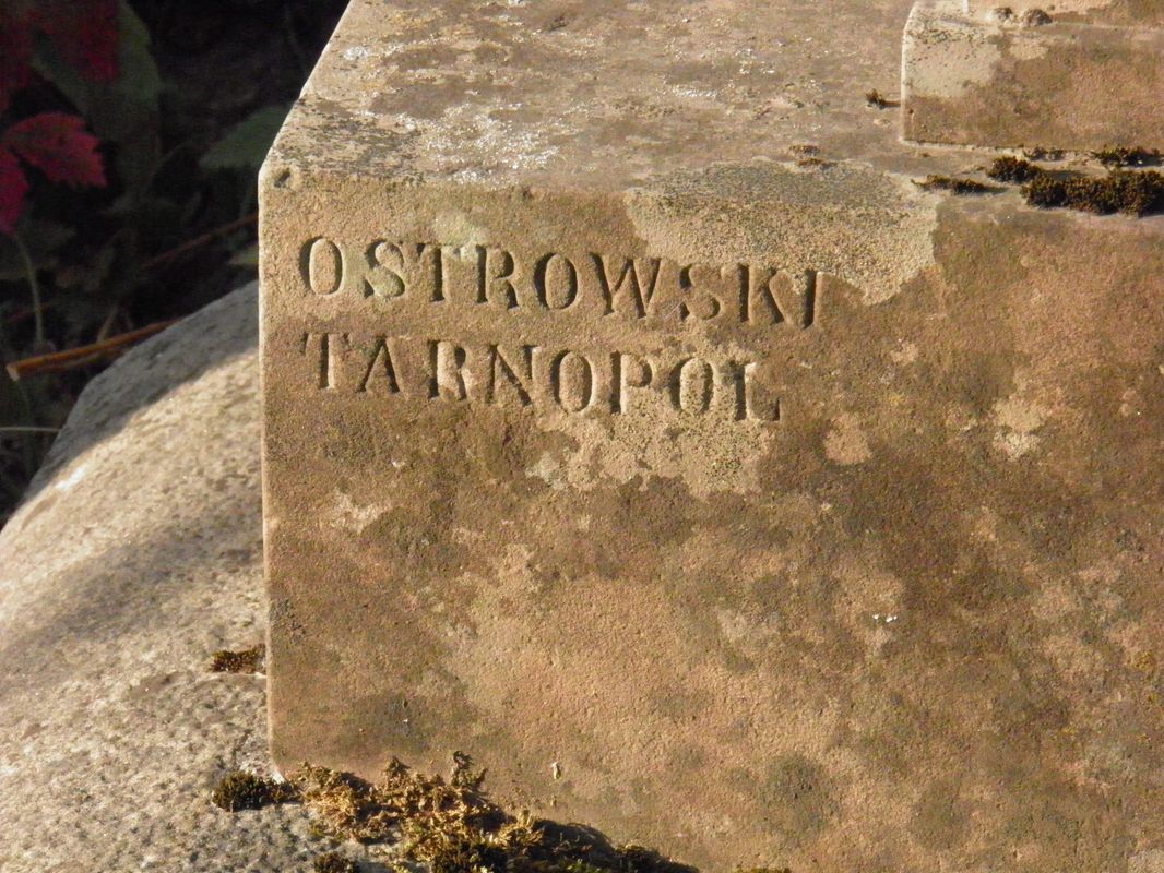 Fragment grobowca Edwarda Piotrowskiego, cmentarz w Tarnopolu, stan z 2016 r.
