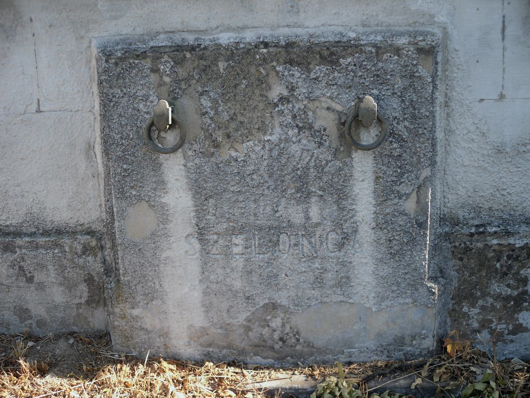 Fragment grobowca Anny i Petroneli Lenard oraz rodziny Szelongów, cmentarz w Tarnopolu, stan z 2016 r.