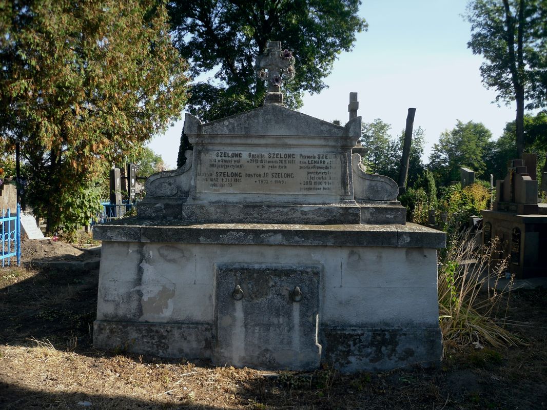 Tomb of Anna and Petronela Lenard and the Szelong family, Ternopil cemetery, as of 2016.