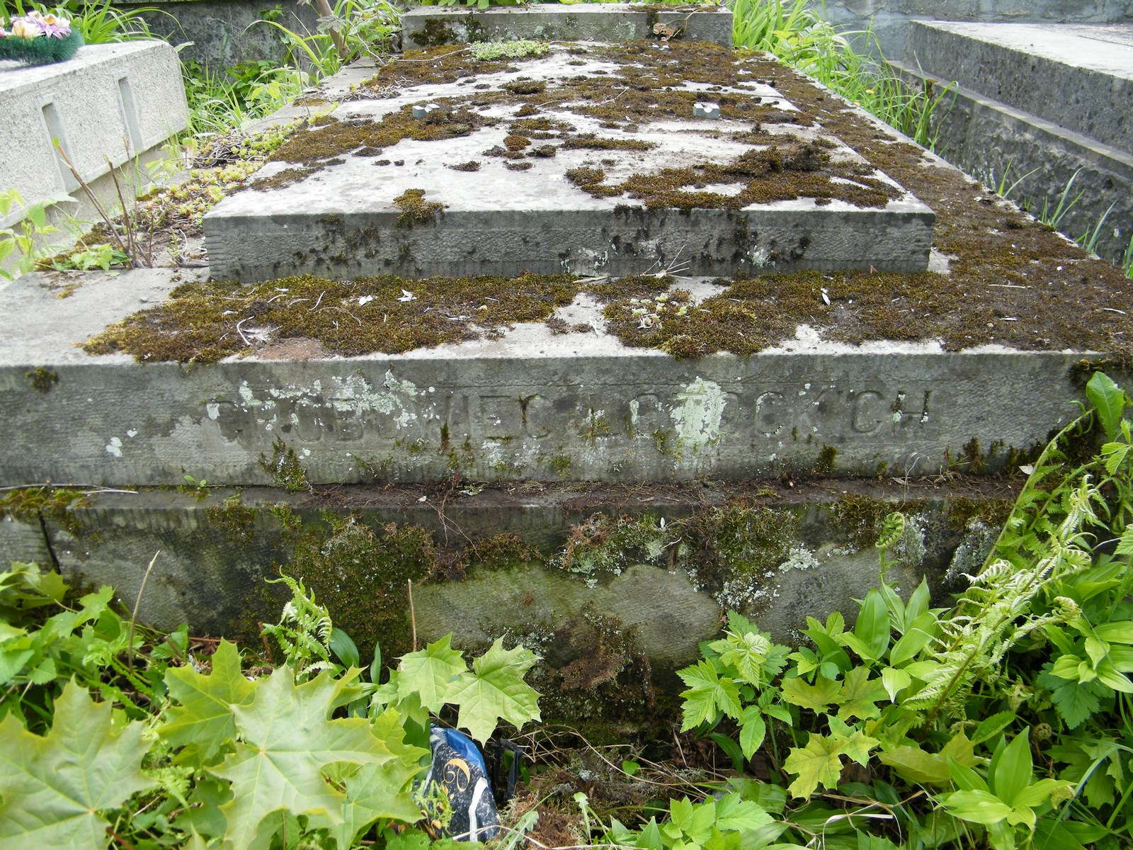 Grobowiec rodziny Łotockich, cmentarz w Tarnopolu, stan z 2017 r.