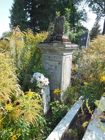 Nagrobek Petroneli Horwath, cmentarz w Tarnopolu, stan z 2016