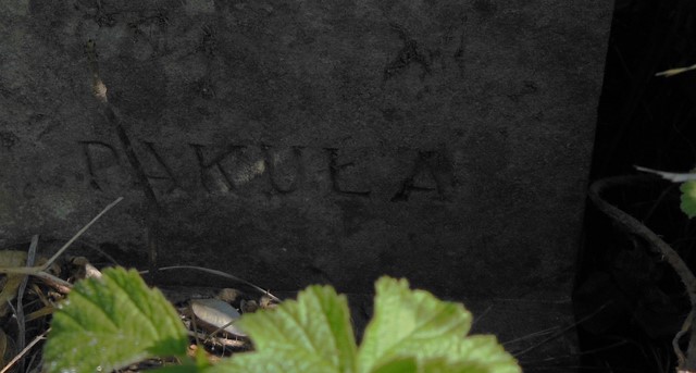 Signature of the tombstone of Bronislaw Grodzinski, cemetery in Ternopil, as of 2016