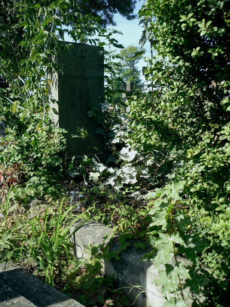 Grobowiec Anny Jaremskiej, cmentarz w Tarnopolu, stan z 2016 r.