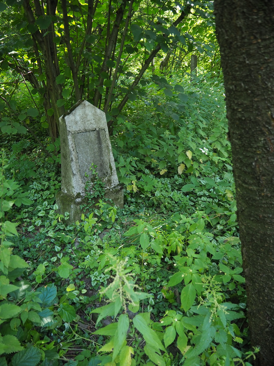 Nagrobek H. Szymonka, cmentarz w Karwinie Meksyk, stan z 2022 roku