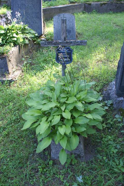 Nagrobek Zofii Łopacińskiej, cmentarz na Rossie w Wilnie, stan z 2013 r.