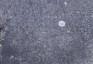 Альтернативний текст фотографії
