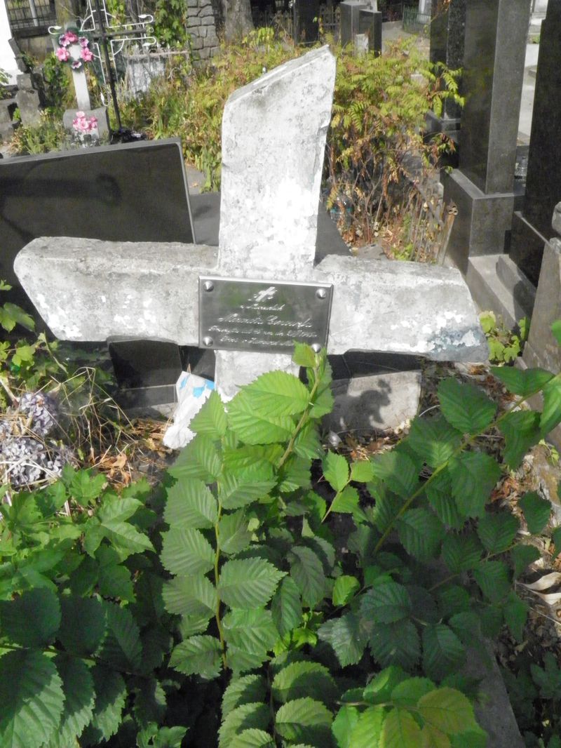 Fragment of the tombstone of Genowefa Niszczota, Ternopil cemetery, state of 2016