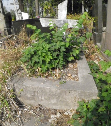 Nagrobek Genowefy Niszczoty, cmentarz w Tarnopolu, stan z 2016