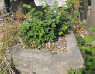 Nagrobek Genowefy Niszczoty, cmentarz w Tarnopolu, stan z 2016