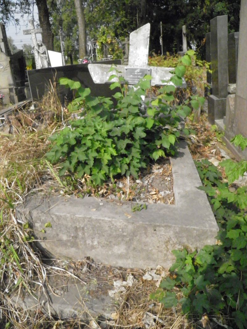 Tombstone of Genowefa Niszczota, Ternopil cemetery, state of 2016