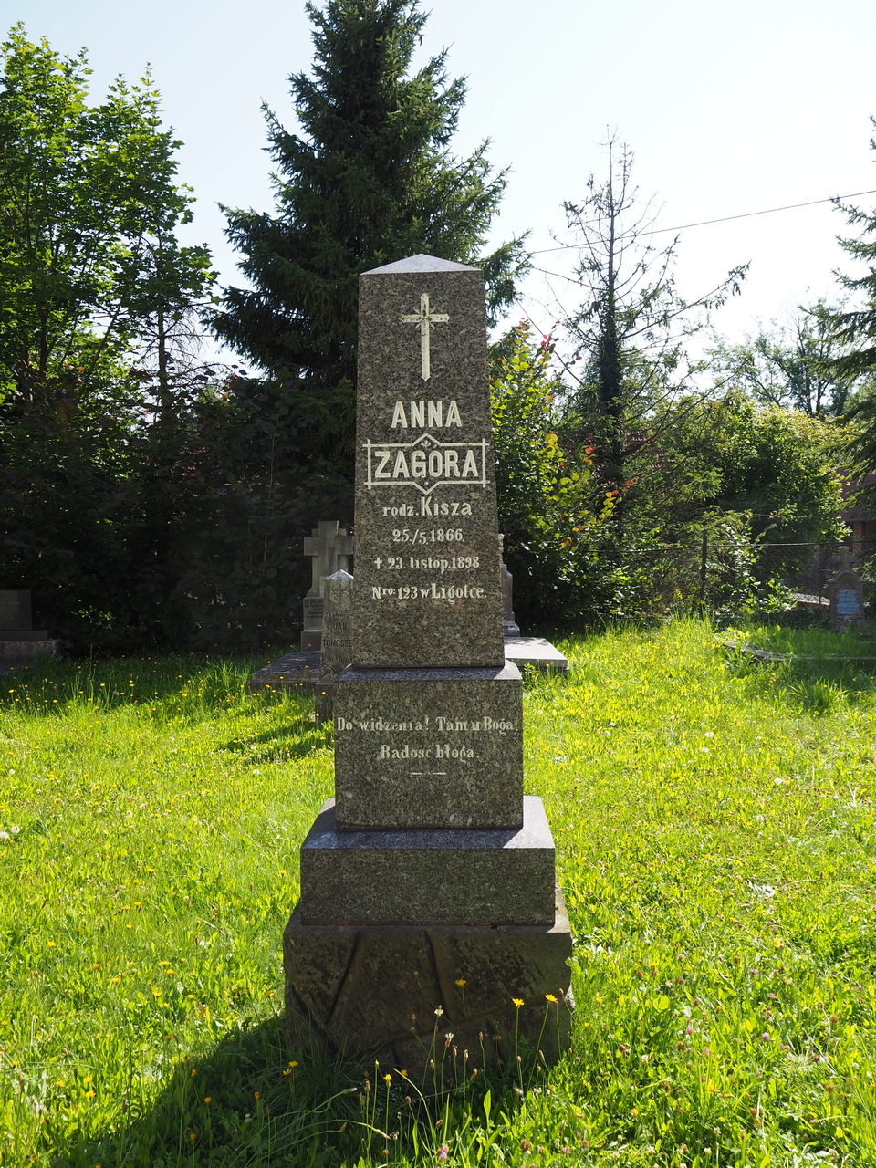 Tombstone of Anna Zagóra, cemetery in Ligotka Kameralna, state from 2022