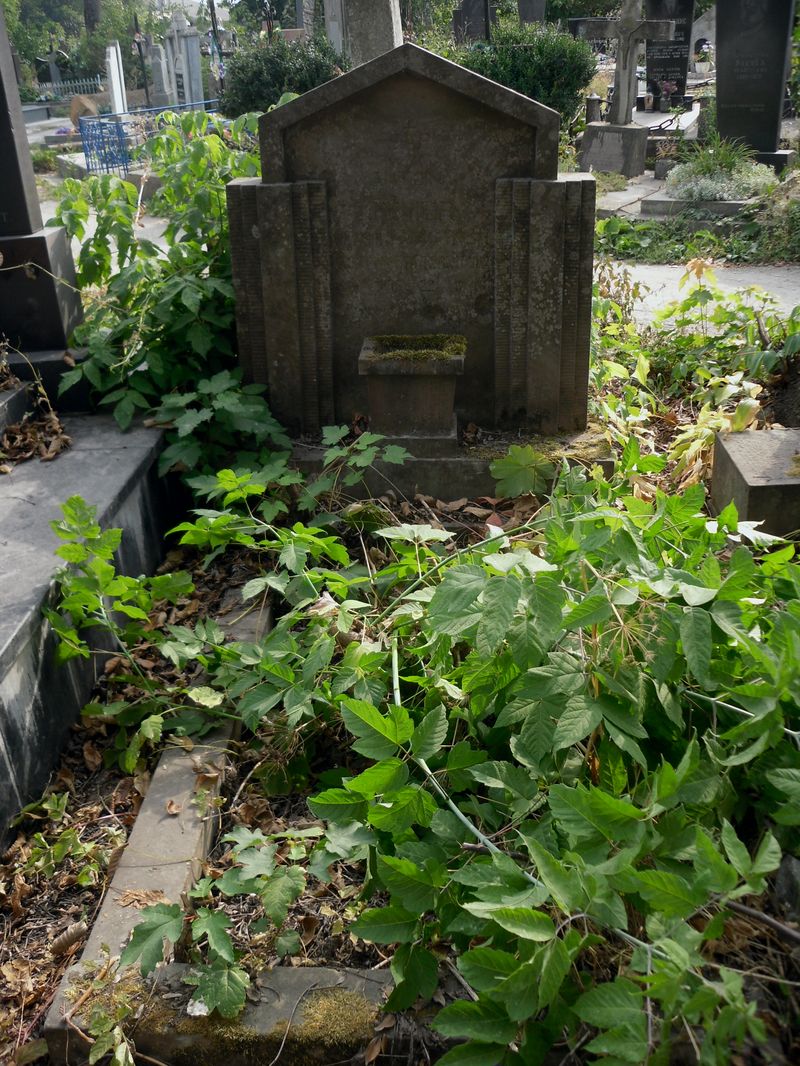 Tombstone of Antoni Zimmer, Ternopil cemetery, state of 2016