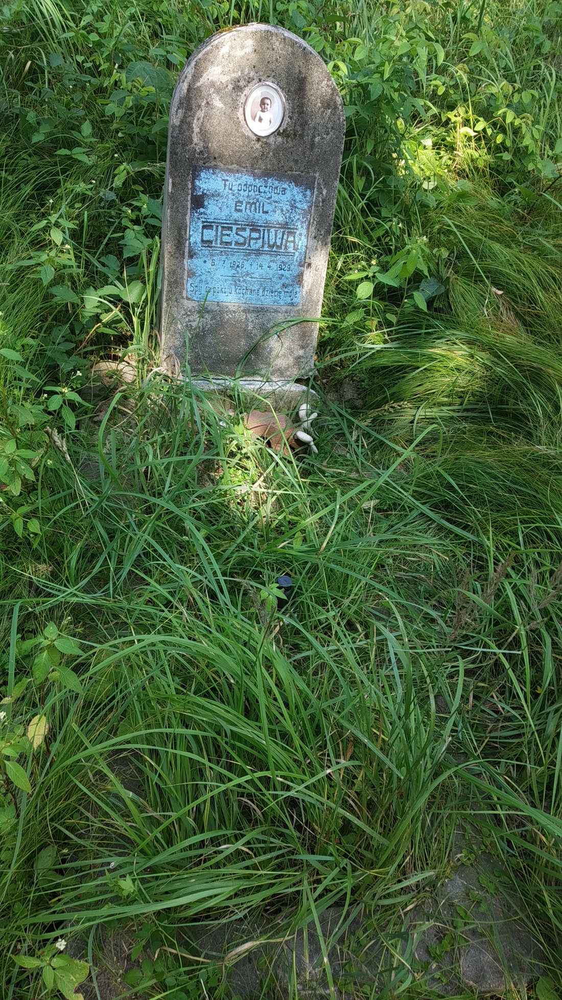Fotografia przedstawiająca Tombstone of Emil Cieśpiwa