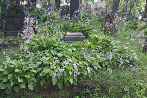 Tombstone of the Dawidowski family, Ross cemetery in Vilnius, as of 2013.