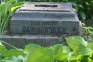 Photo showing Tombstone of the Dawidowski family