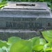 Photo showing Tombstone of the Dawidowski family