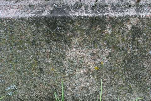 Signature from the gravestone of Amelia Montwidova, Ross cemetery in Vilnius, as of 2013.