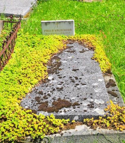 Nagrobek Pauli Walach, cmentarz w Ligotce Kameralnej, stan z 2022