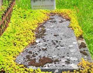 Nagrobek Pauli Walach, cmentarz w Ligotce Kameralnej, stan z 2022