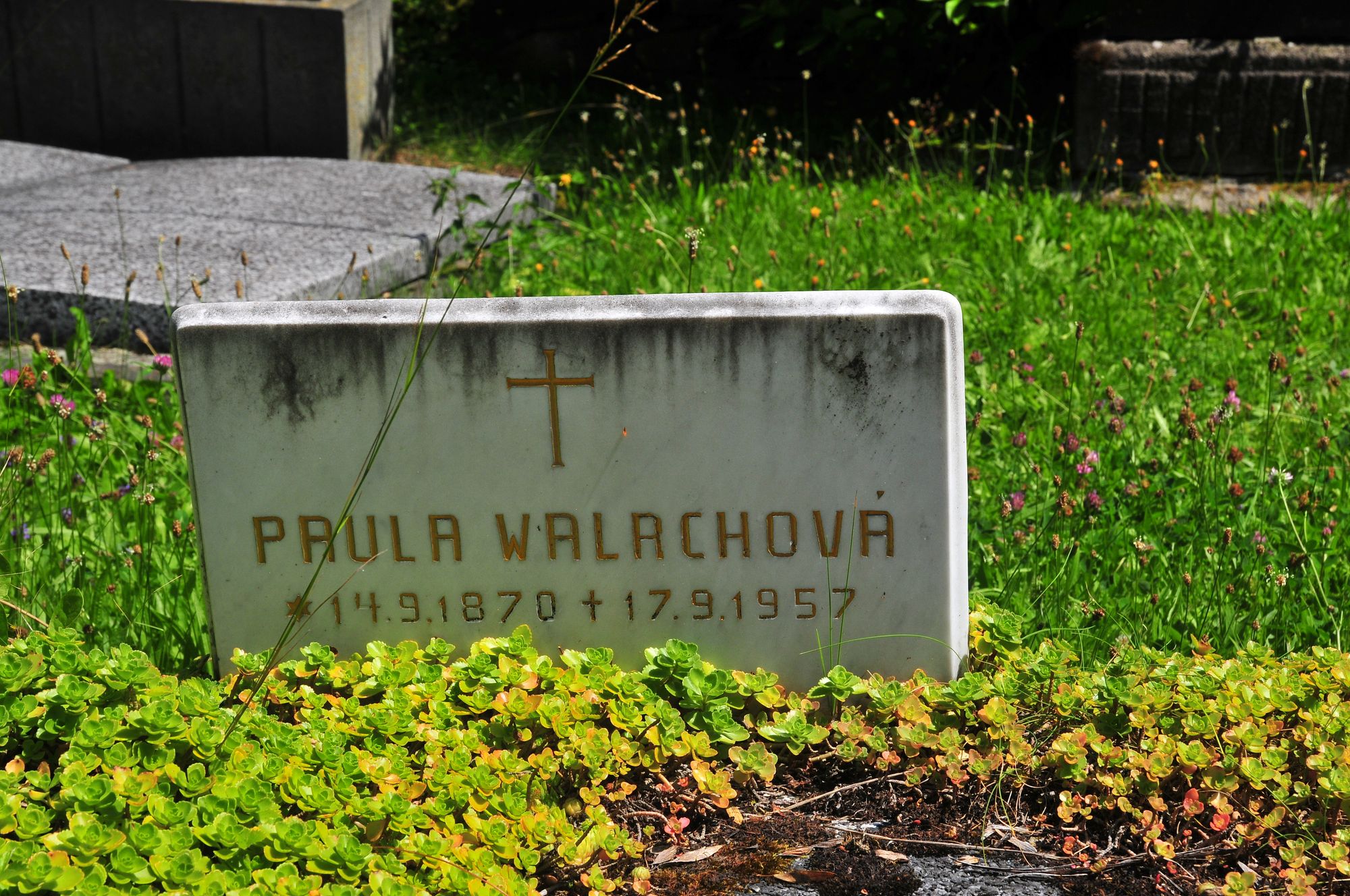Tombstone of Paula Walach, cemetery in Ligotka Kameralna, as of 2022