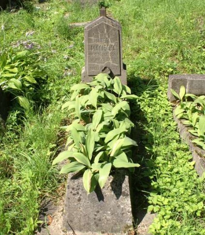 Nagrobek Józefy Macieckiej, cmentarz na Rossie w Wilnie, stan z 2013 r.