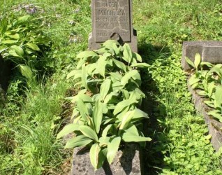 Nagrobek Józefy Macieckiej, cmentarz na Rossie w Wilnie, stan z 2013 r.