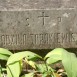 Photo showing Tombstone of the Tarakiewicz family