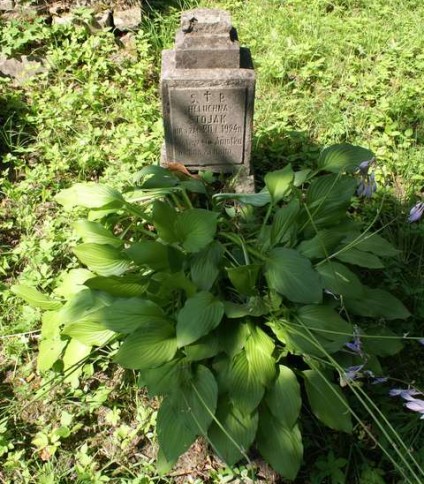 Nagrobek Heleny Stojak, cmentarz na Rossie w Wilnie, stan z 2013 r.