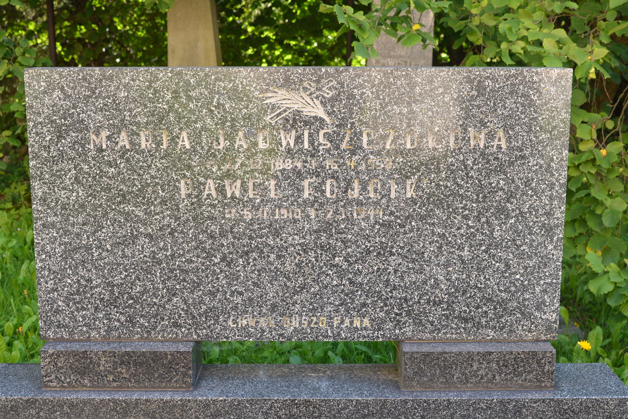 Grave of Maria Jadwiszczok, Pawel Fojcik, Evangelical cemetery in Ligotka Kameralna