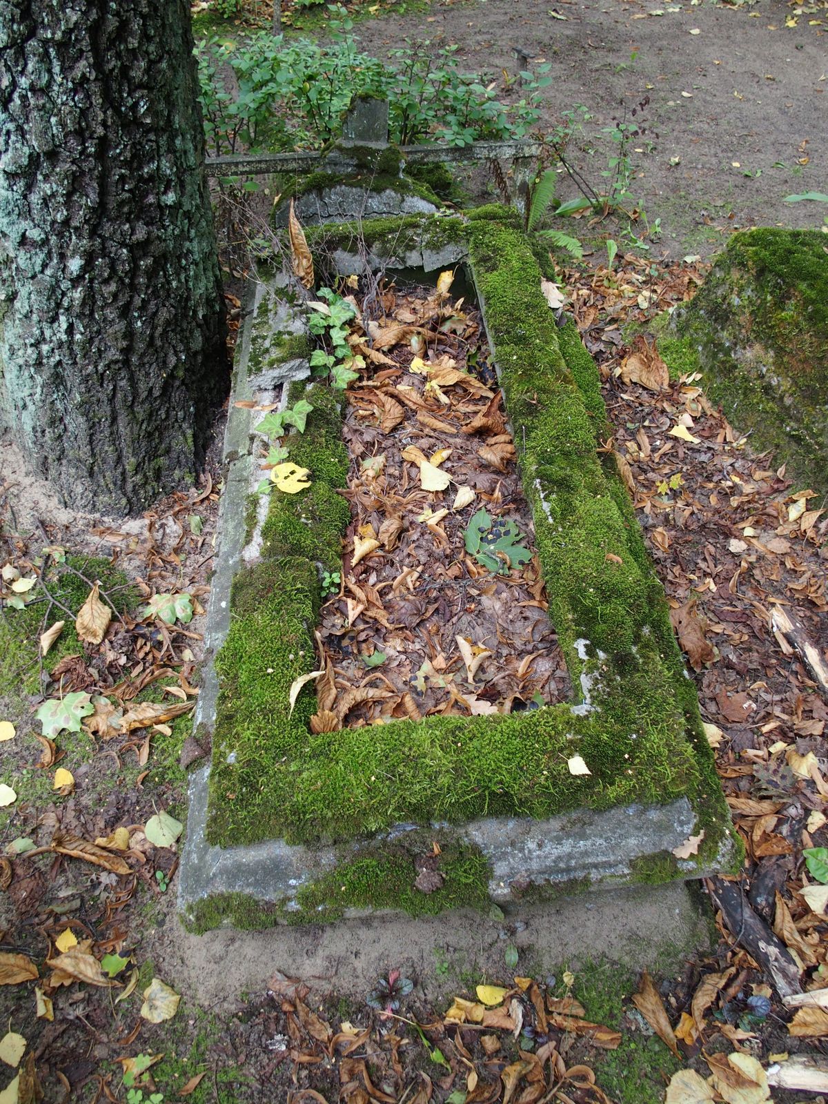 Tombstone of Kazimiera Boruc, St Michael's cemetery in Riga, as of 2021.