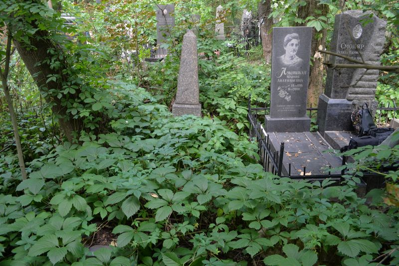 Tombstone of Julia Weryha-Darowska