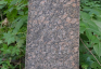 Photo montrant Tombstone of Julia Weryha-Darowska