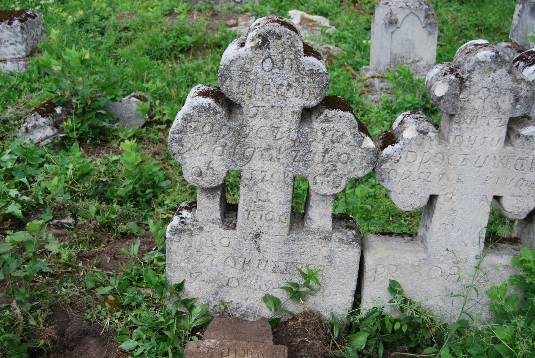 Nagrobek Małgorzaty Obszarskiej, cmentarz w Zbarażu, stan z 2018