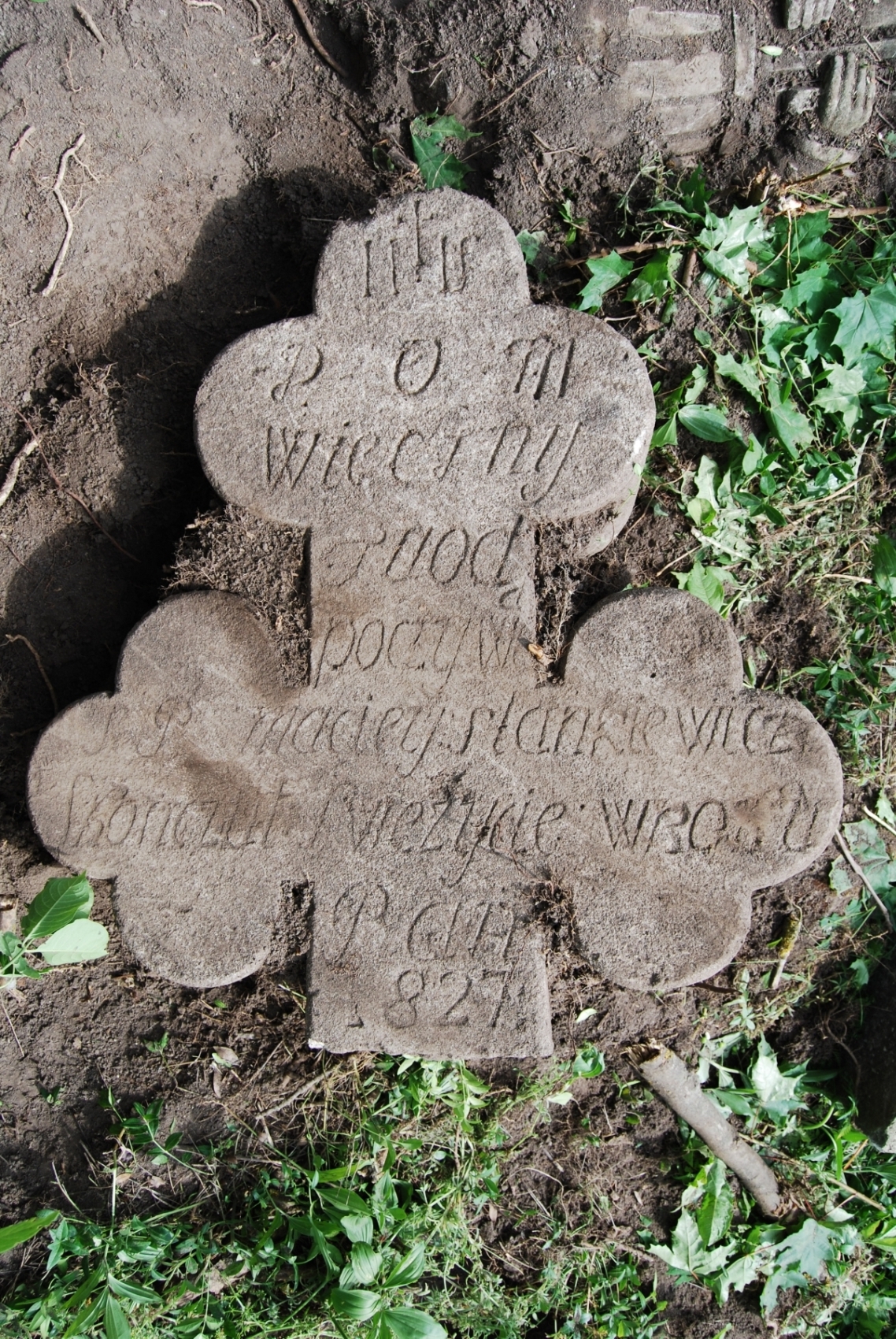 Tombstone of Maciej Stankiewicz, Zbarazh cemetery, as of 2018