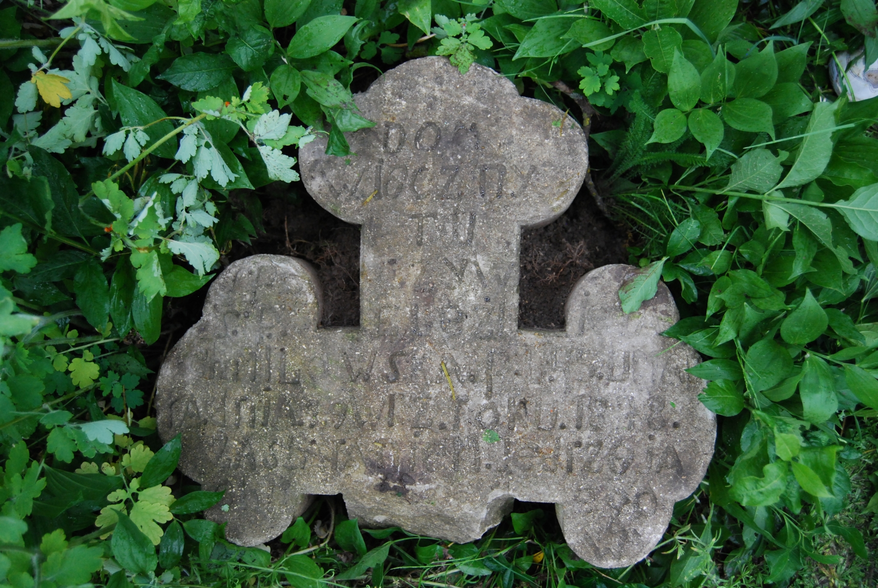 Tombstone of Elisabeth Emiliavskaya, Zbarazh cemetery, state 2018