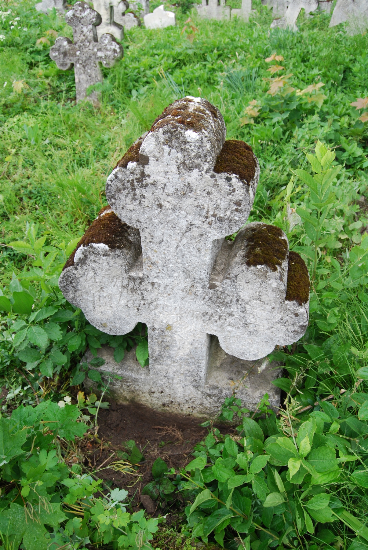 Tombstone of Marianna Buzarczuk, Zbarazh cemetery, state of 2018