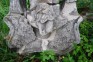 Photo showing Tombstone of Simon N.N.