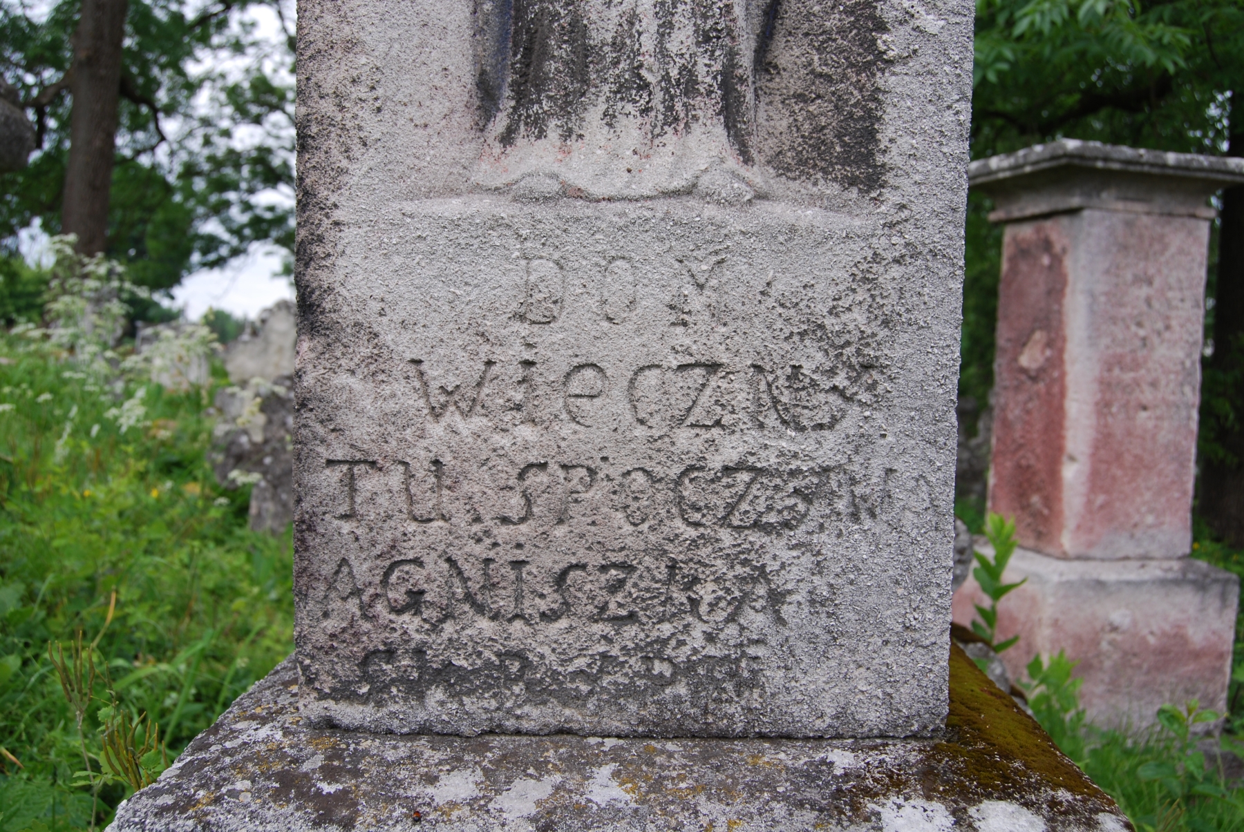nagrobek Agnieszki i Rozalii Skrzypijów, cmentarz w Zbarażu, stan z 2018