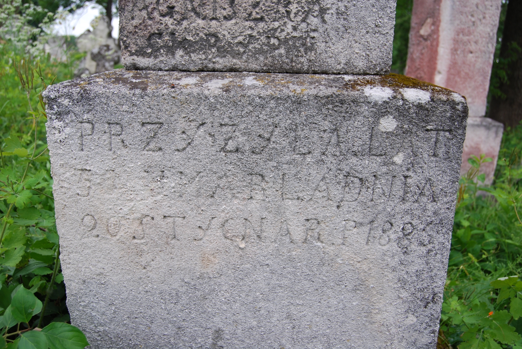 nagrobek Agnieszki i Rozalii Skrzypijów, cmentarz w Zbarażu, stan z 2018