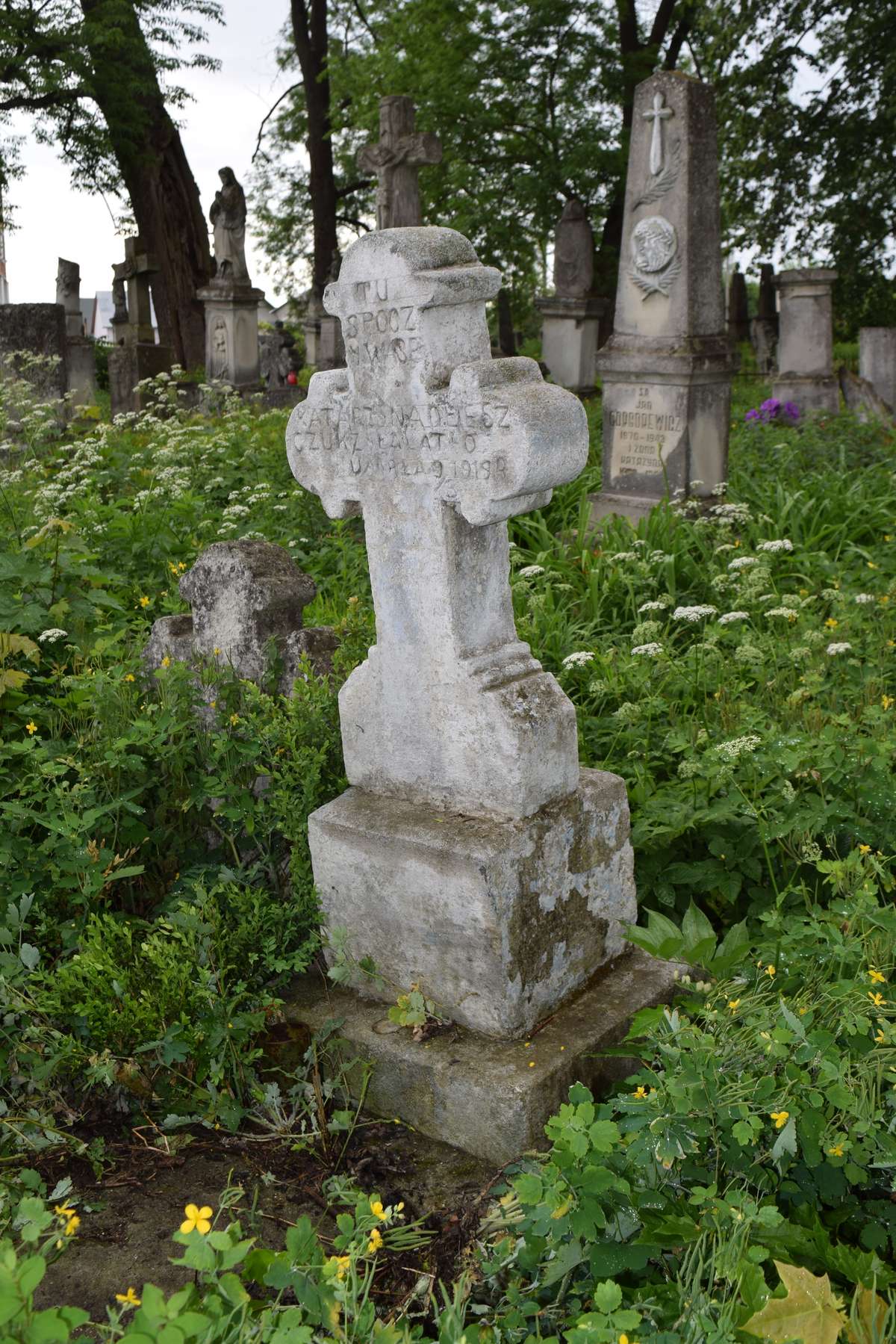 Tombstone of Katarzyna Olieszczuk, Zbarazh cemetery, state of 2018