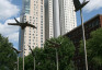 Photo showing Sculpture \"Birds of Knowledge of Good and Evil\" by Magdalena Abakanowicz in front of the Woman\'s Club of Wisconsin in Milwaukee