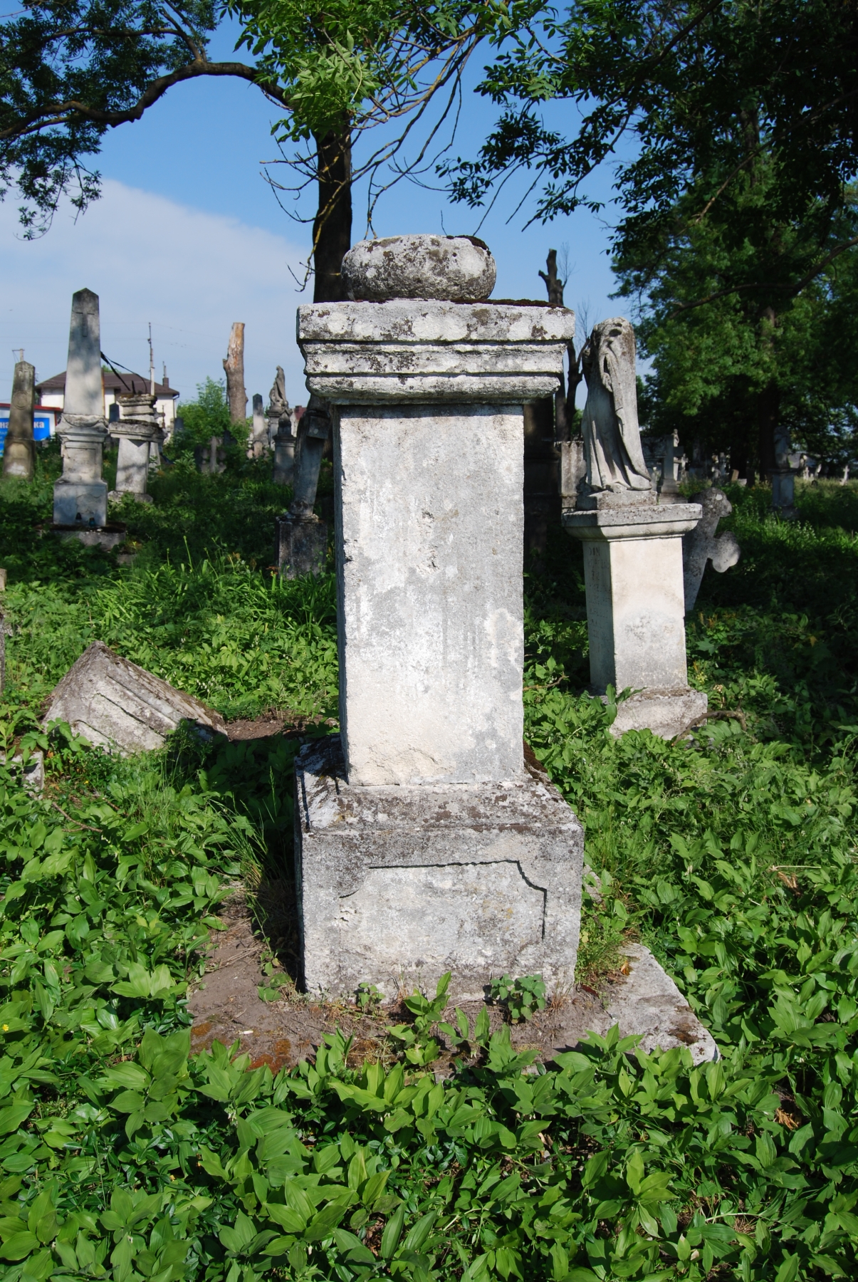 Tombstone of John, Matthew and Teresa Carculi..ccy, Zbarazh cemetery, state 2018