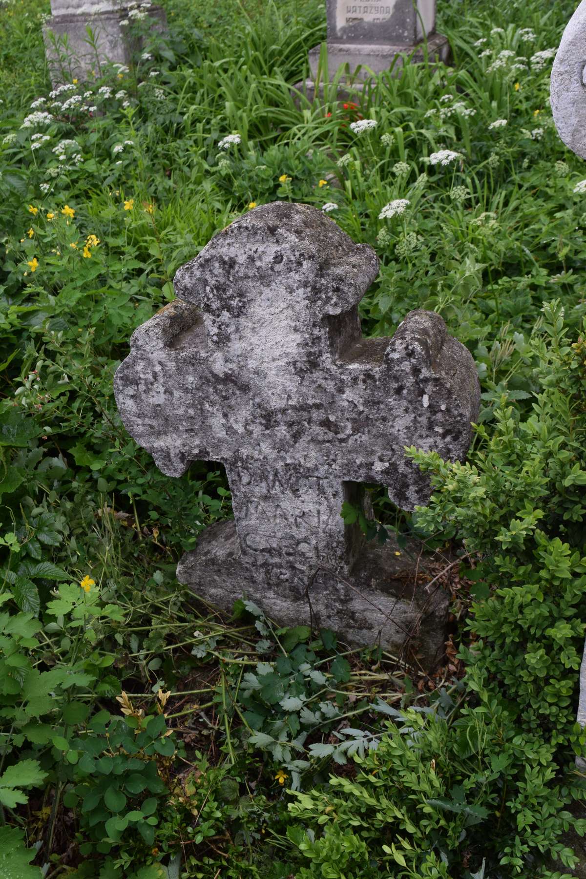 Nagrobek Marii Czechowskiej, cmentarz w Zbarażu, stan z 2018