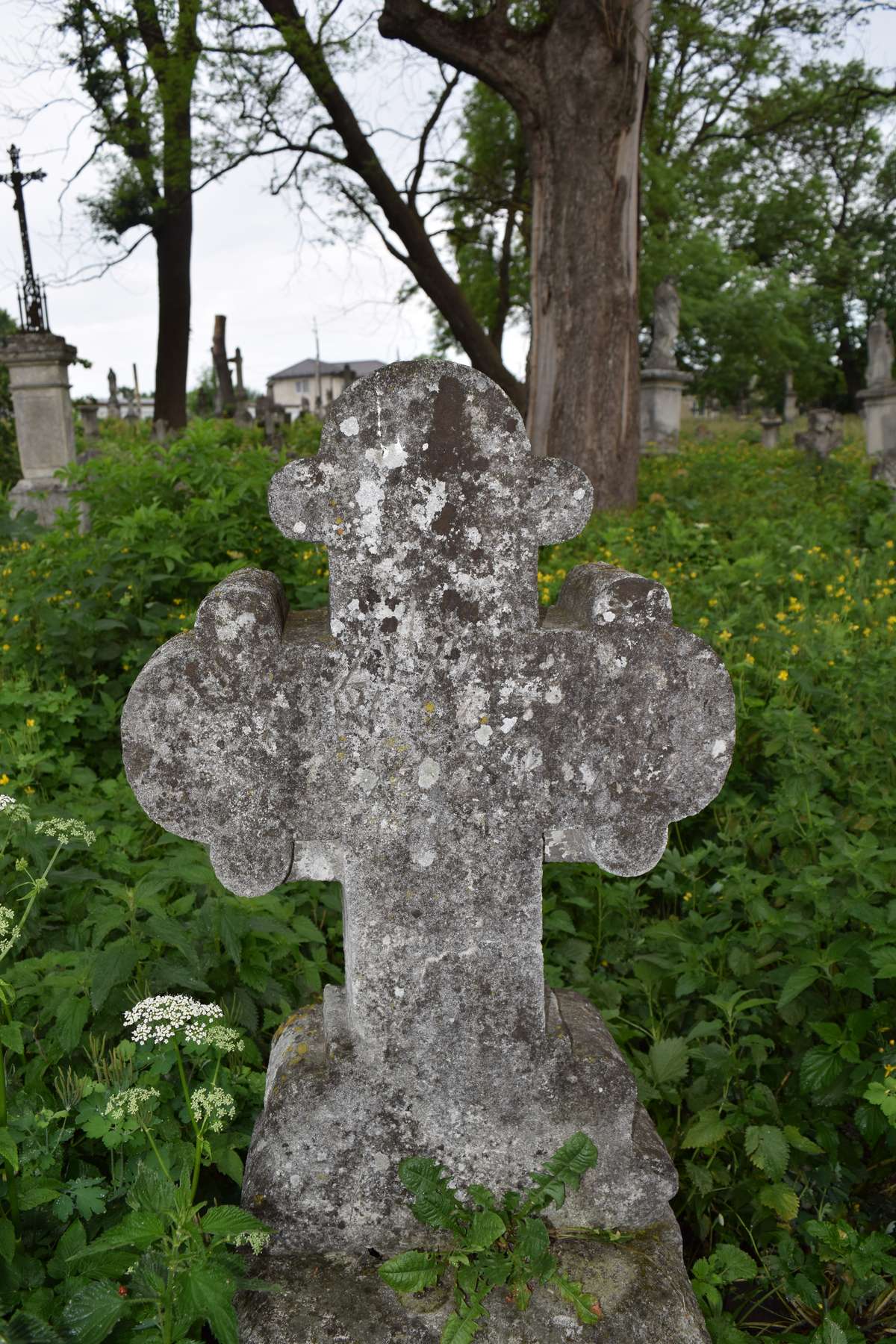 Tombstone of Edward Voytovich, Zbarazh cemetery, state of 2018