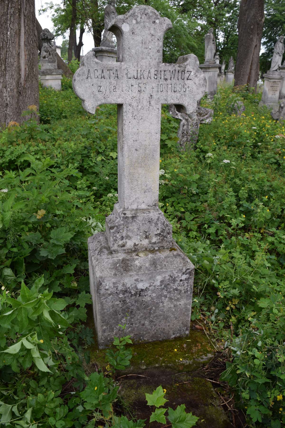 Nagrobek Agaty Łukasiewicz, cmentarz w Zbarażu, stan z 2018
