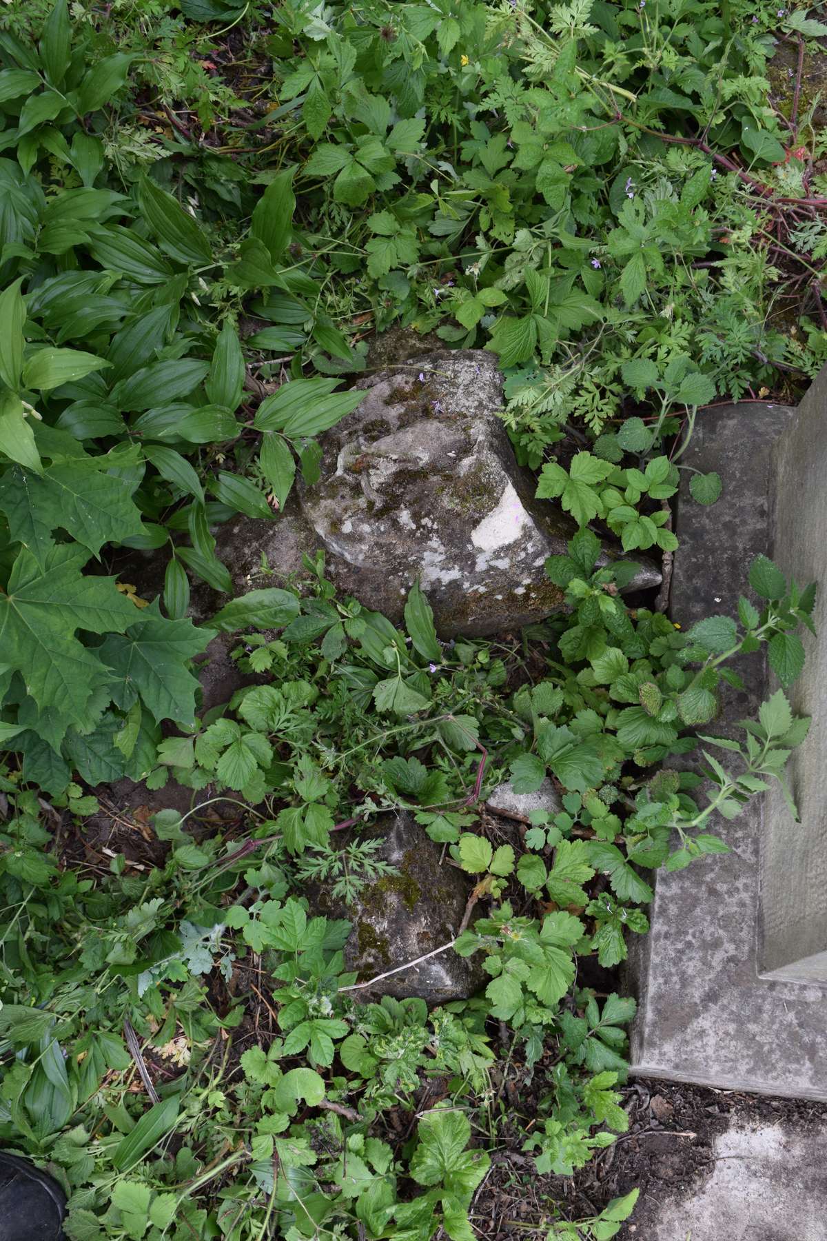 Fragment nagrobka Michała i Piotra Górgurewiczów, cmentarz w Zbarażu, stan z 2018